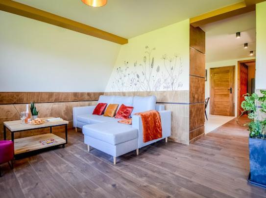 Atlas Chmur Apartament Biały Dunajec Extérieur photo